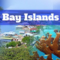Free Bay Islands Vacations chat bot