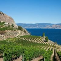 Small business owners Okanagan chat bot