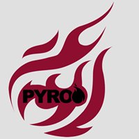 Pyro Media Group chat bot