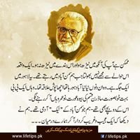 Ishfaq Ahmed chat bot