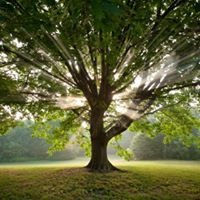 A+tree&landscape chat bot