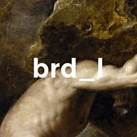 BRD_L chat bot