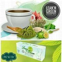 The LEAN N GREEN Marilao Bulacan chat bot