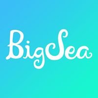 Big Sea chat bot