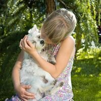 Dog Parent Club chat bot