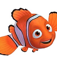 Kosher Fish chat bot