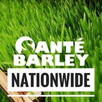 Sante Barley Nationwide chat bot