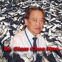 Who is Doctor Giam? chat bot