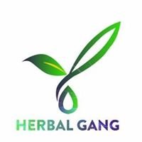 Herbal Gang chat bot