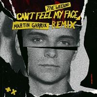 I can't feel my face - The Weeknd - Martin Garrix Remix chat bot