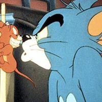Memes Looney Tunes chat bot