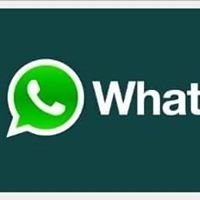 What's up chat group for single boy's and single girl's chat bot