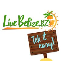 Live Belize chat bot