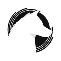 Yuskee chat bot