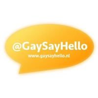Gaysayhello chat bot