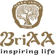 Briaa RU chat bot