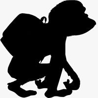 Chimpontee chat bot