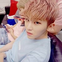 Woozi chatbot chat bot