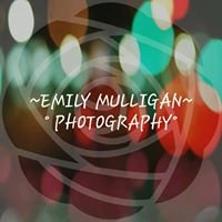 Emily mulligan photography chat bot