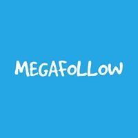 MegaFollow chat bot
