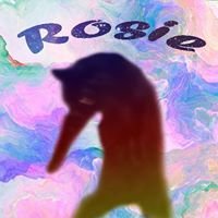 Rosie The Cat chat bot