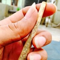 STONER's Family chat bot