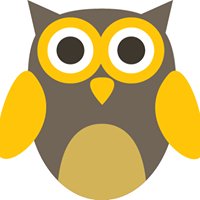 Startup Owl chat bot