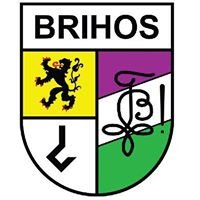 Brihos chat bot