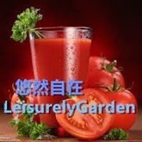 悠然自在 chat bot