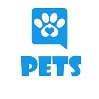 Best New Ideas for Pets chat bot