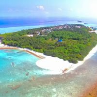 Naivaadhoo chat bot