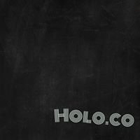 Holo.Co chat bot