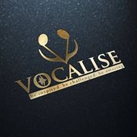 Vocalise Academy chat bot