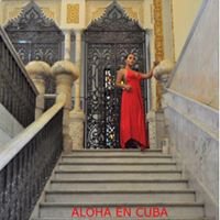 Aloha Ropa Gitana chat bot