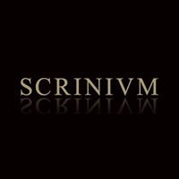 Scrinium chat bot