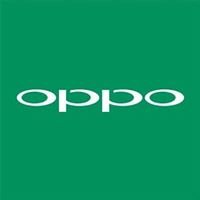 Oppo Portsaid chat bot