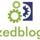 zedblogz.com chat bot