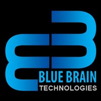Blue Brain Technologies chat bot