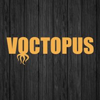 Voctopus digital agency chat bot