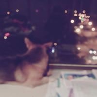 JOY chat bot