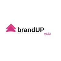 Brandup Media chat bot