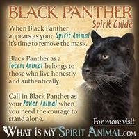 Daniel Black-Panther chat bot