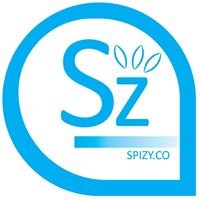 Spizy Education chat bot