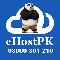 Professional Web Hosting in Pakistan chat bot