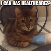 4 Poopkat's Sake: a fundraiser 4 poopkat chat bot