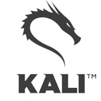 KaliLinux-PT chat bot