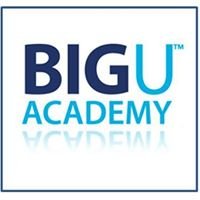 BIGU Academy chat bot