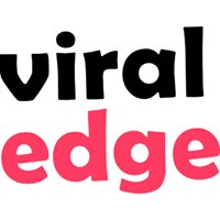 Viral Edge chat bot