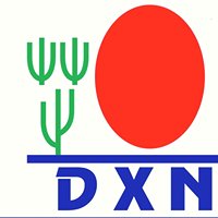 DXN Chennai Wellness chat bot