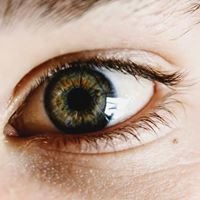 Global Observances Bot chat bot